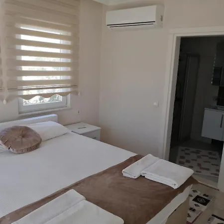 Toprak Villa Ortaca (Mugla)